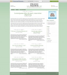 The Daily News