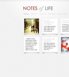 DailyNotes