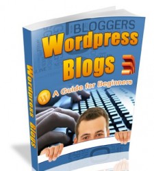 WordPress Blogs: A Guide For Beginners (Kindle Edition)