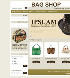 MAG080114 – Handbag Store