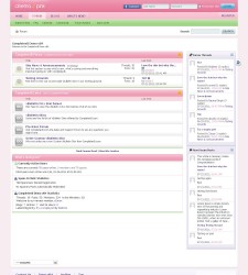 Cinema Pink vBulletin Skin