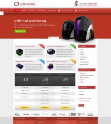 ZT Hosting