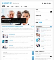 Business Report